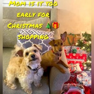 Christmas Shopping Early